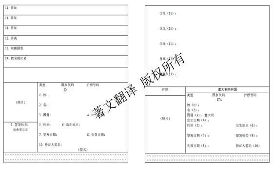 德国与意大利护照翻译模板