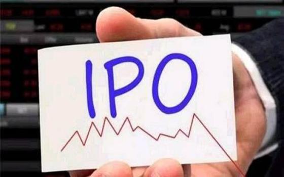 招股说明书翻译