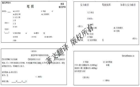 美国德克萨斯州驾照与加拿大驾照翻译模板