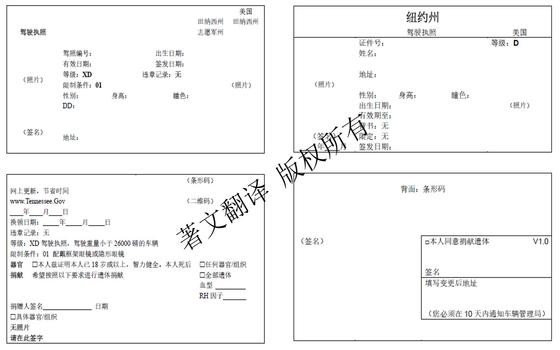 美国田纳西州与纽约州驾照翻译模板
