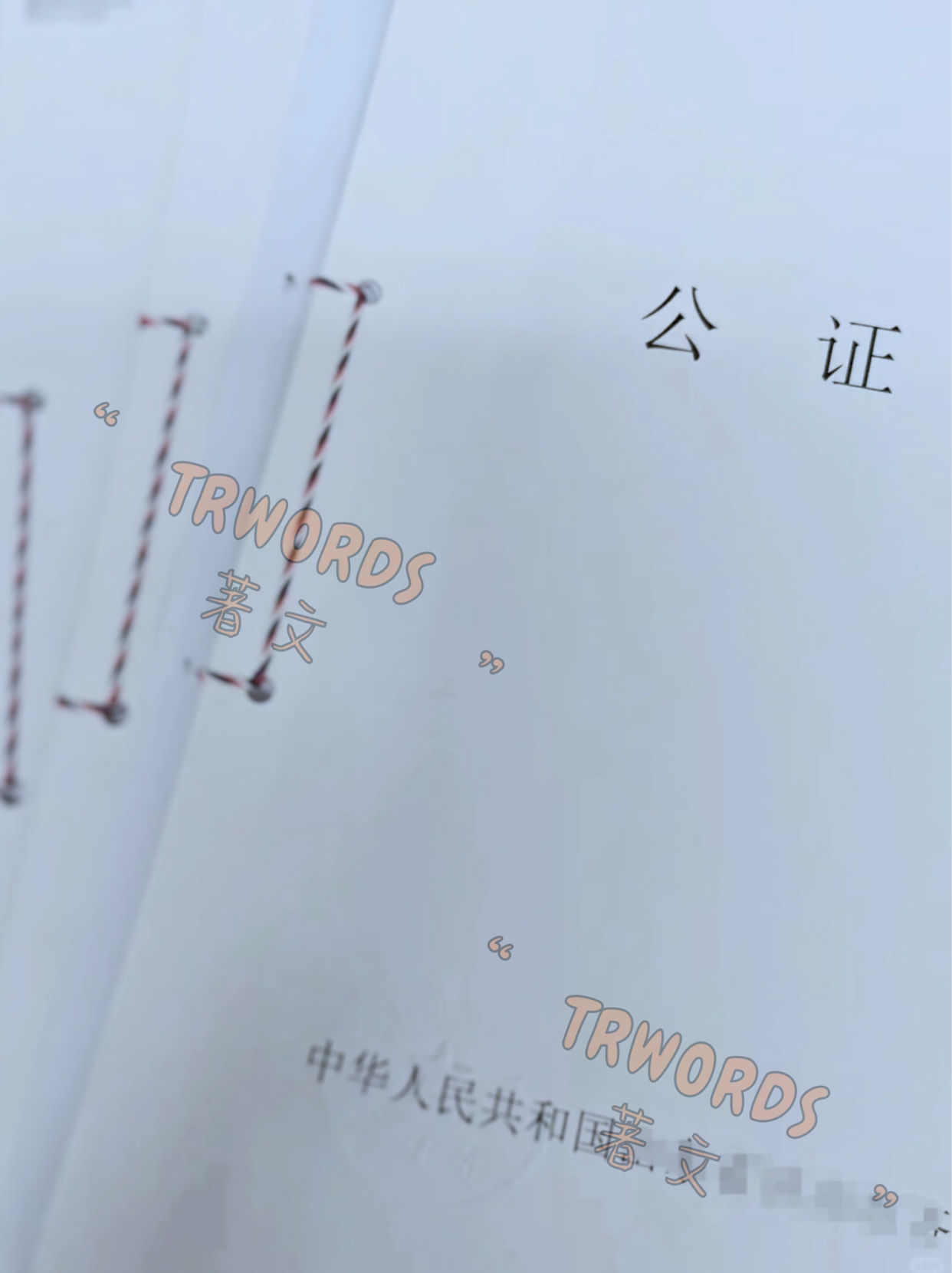 Read more about the article 捷克司法翻译：确保您的文件在捷克合法有效