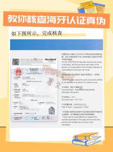 3如何查询海牙认证真伪-224x300