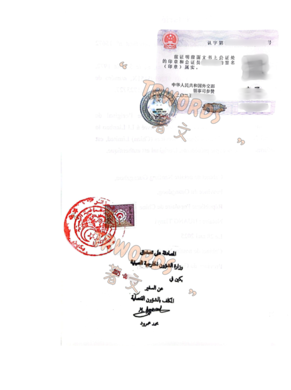 Read more about the article 去阿尔及利亚处理海外继承事务，怎么能顺利办好委托公证？