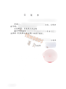 犯罪记录证明公证+海牙认证-葡萄牙 (2)