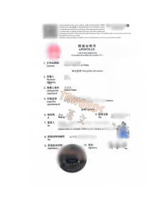 犯罪记录证明公证+海牙认证-葡萄牙 (5)