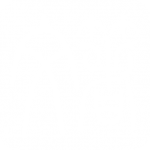 方的 方的