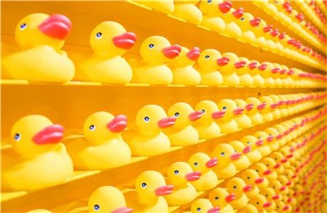 零售与消费品 (1)